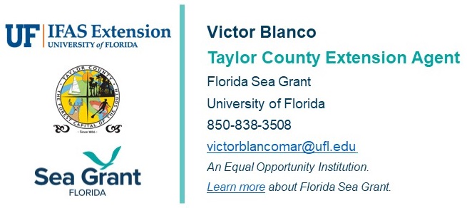 Victor Blanco